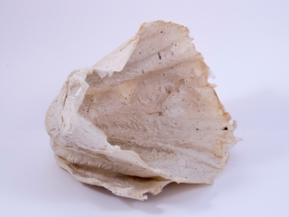 Large Abaca with Tea