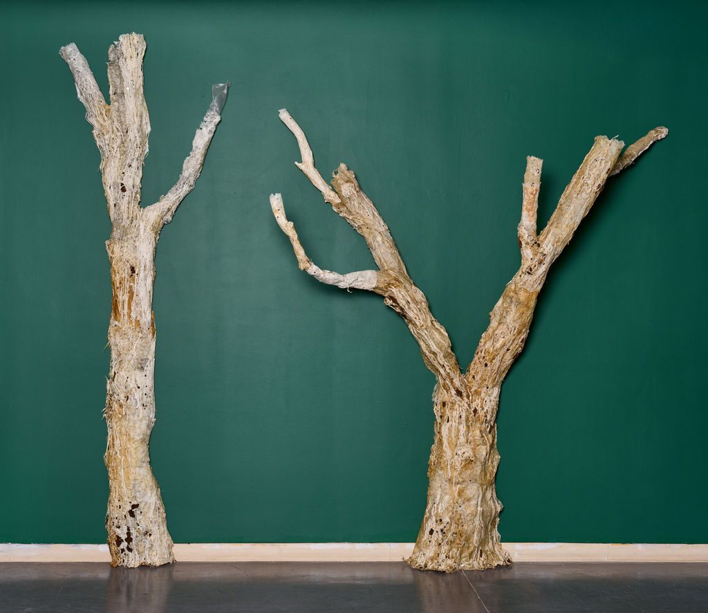 Photo©MarkShaw_MicheleBrody_1372