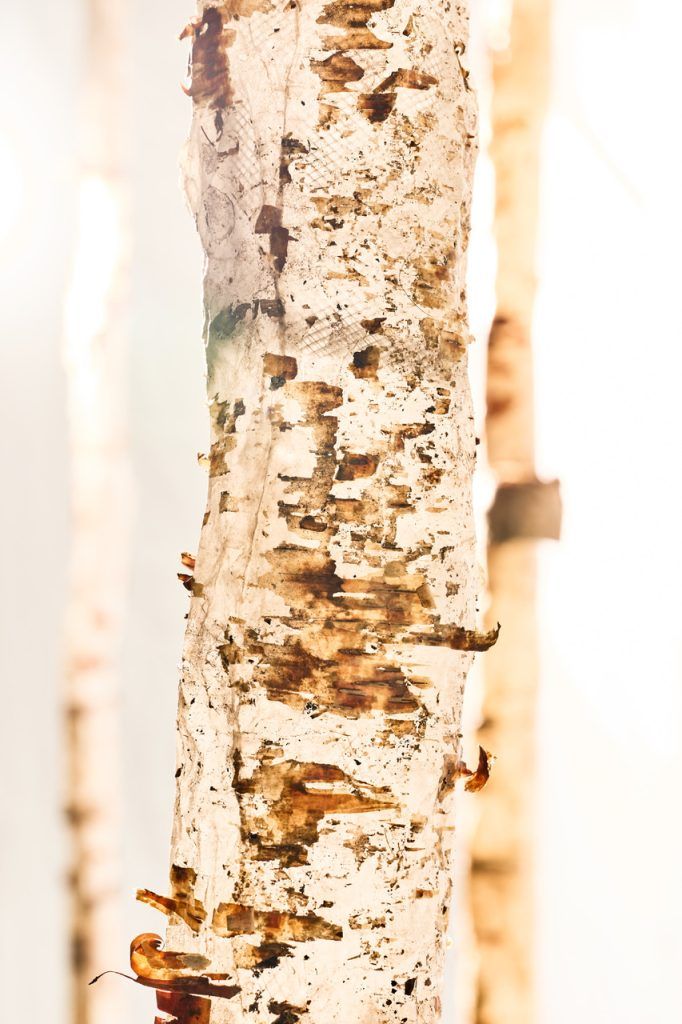 Photo©MarkShaw_MicheleBrody_1420 copy