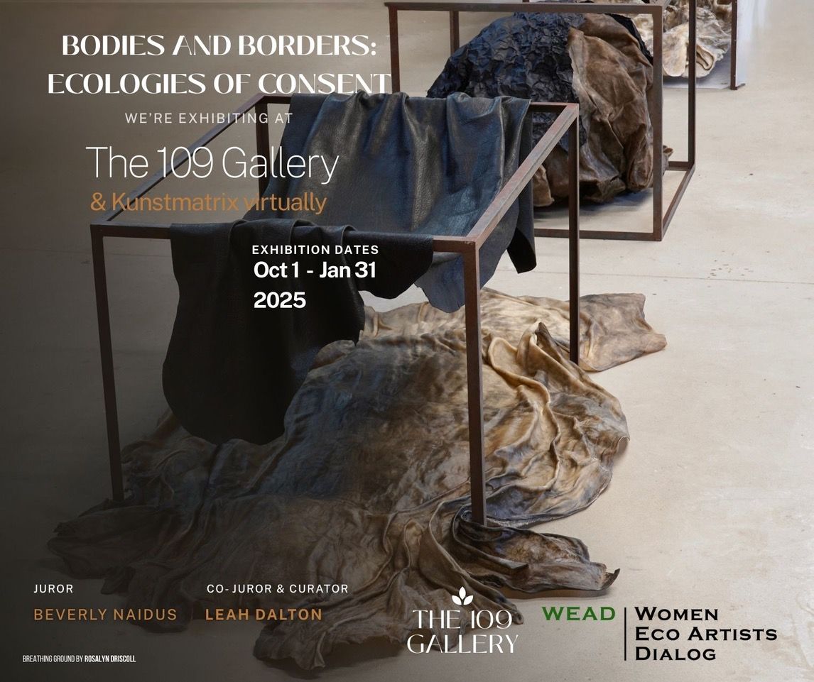 Featured image for “Borderlines heads south for Bodies and Borders | Nov. 22nd”