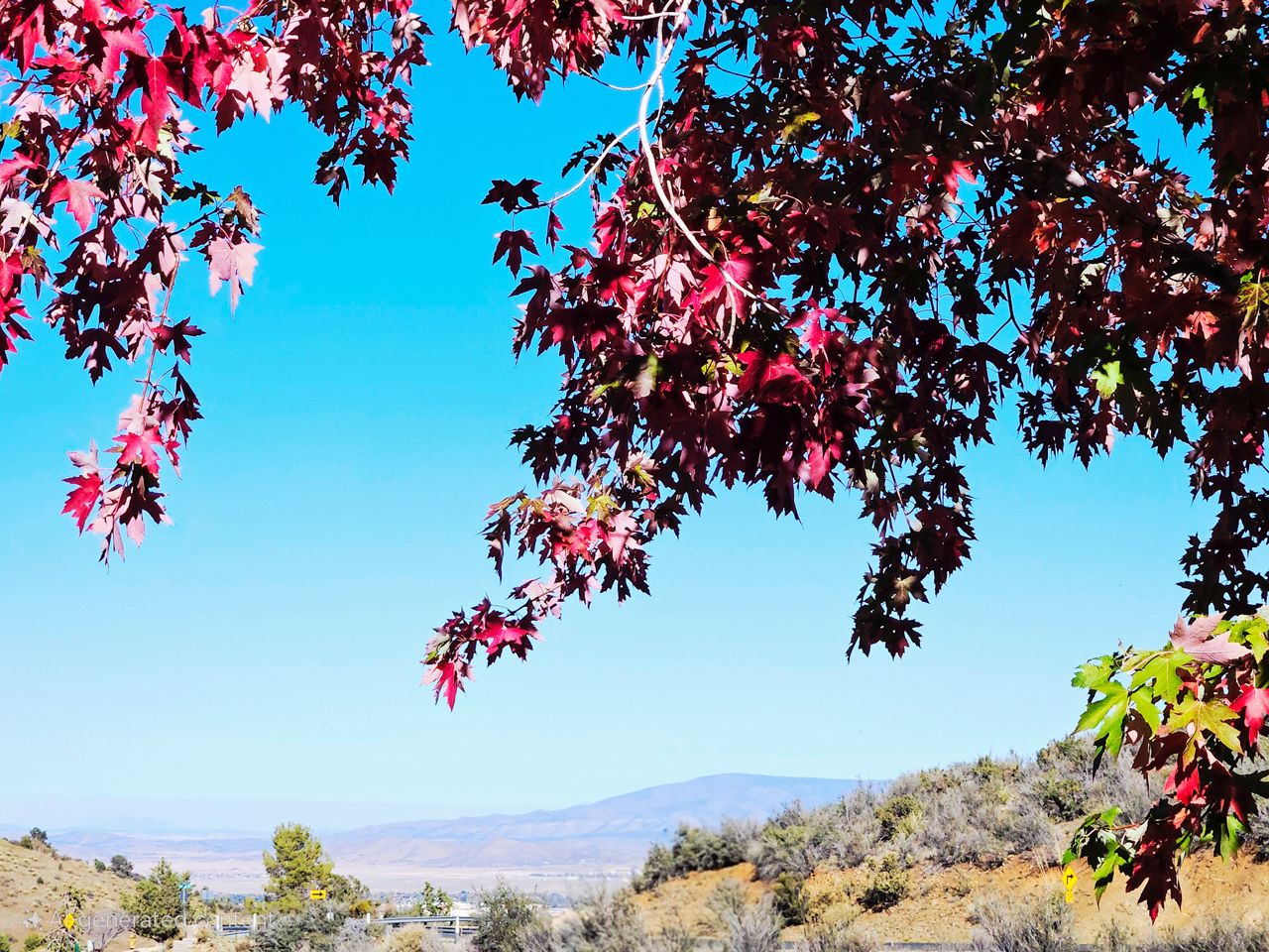 Featured image for “Time Out West”