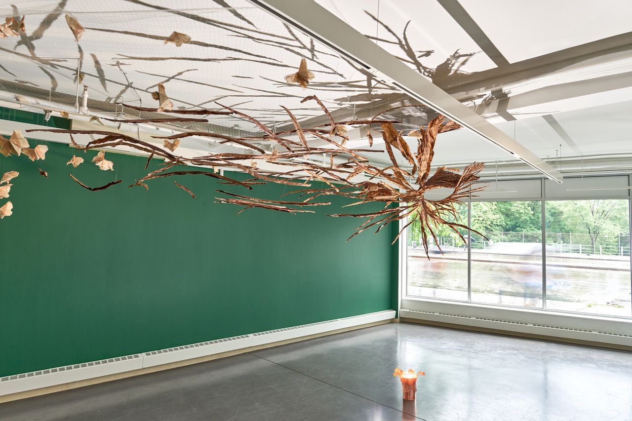 Featured image for “The Interior Wild”