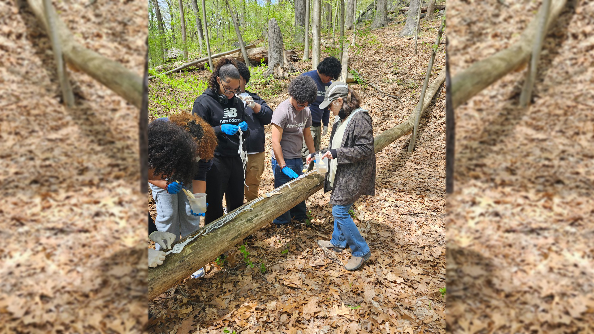 Featured image for “Nature in Absentia: Inversion”