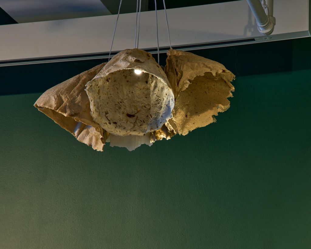 Re-Blooms_Chandelier
