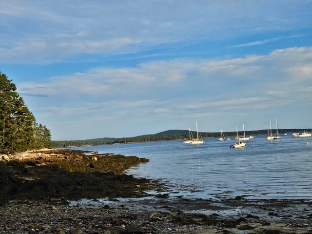 Featured image for “Good morning from Maine”