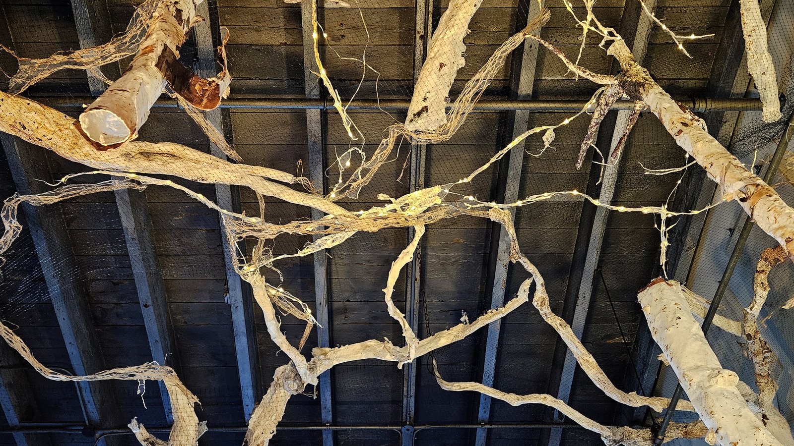Featured image for “Inversion Exhibition”